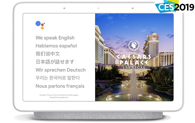 google_interpreter_mode